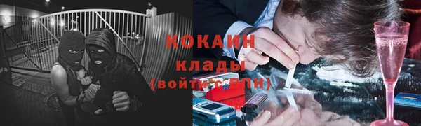 мет Алексин