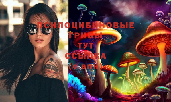 мет Алексин