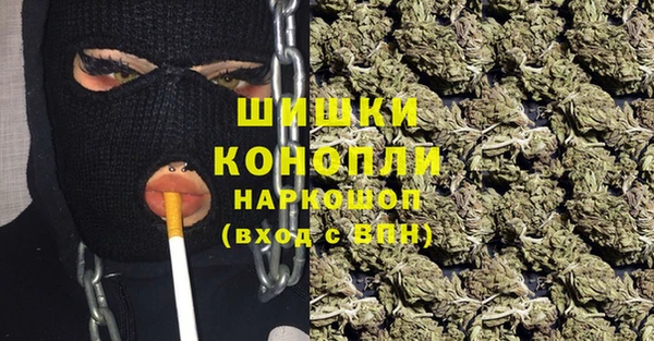 Альфа ПВП Пестово