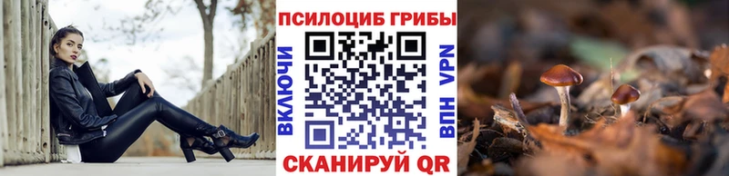 Галлюциногенные грибы ЛСД  Геленджик 